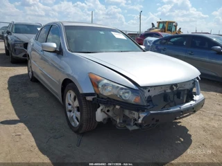 HONDA HONDA ACCORD 2.4 EX-L