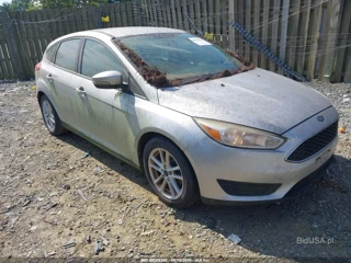 FORD FORD FOCUS SE