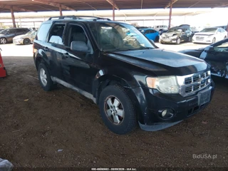 FORD FORD ESCAPE XLT