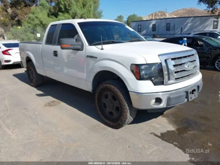 FORD FORD F-150 XLT