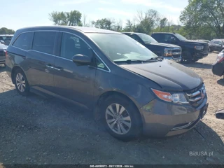 HONDA HONDA ODYSSEY EX
