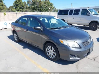 TOYOTA TOYOTA COROLLA