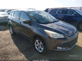 FORD FORD ESCAPE SE