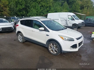 FORD FORD ESCAPE TITANIUM