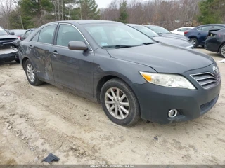 TOYOTA TOYOTA CAMRY XLE V6