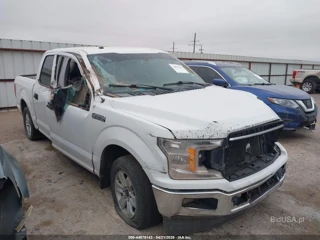 FORD FORD F-150 XLT