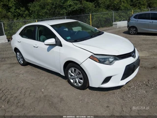 TOYOTA TOYOTA COROLLA LE