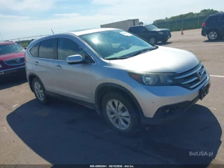 HONDA HONDA CR-V EX