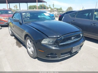 FORD FORD MUSTANG V6