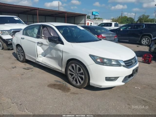 HONDA HONDA ACCORD SPORT
