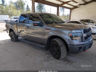 FORD FORD F-150 FX4