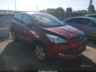 FORD FORD ESCAPE SE