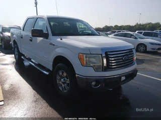FORD FORD F-150 XLT