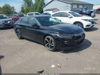 HONDA HONDA ACCORD SPORT SPECIAL EDITION