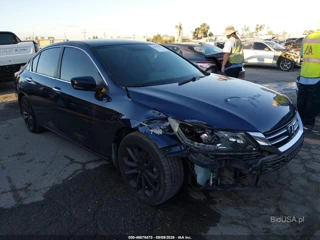 HONDA HONDA ACCORD SPORT
