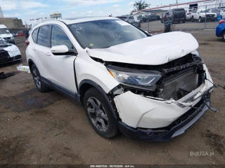 HONDA HONDA CR-V EX