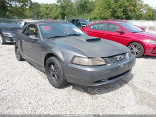 FORD FORD MUSTANG GT