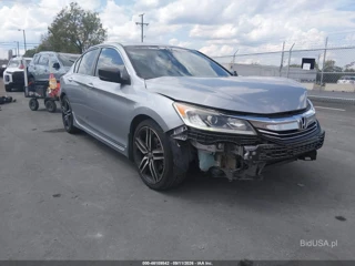 HONDA HONDA ACCORD SPORT SE