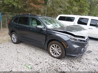HONDA HONDA CR-V EX-L AWD
