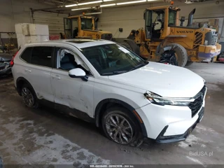 HONDA HONDA CR-V EX-L AWD