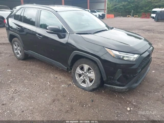 TOYOTA TOYOTA RAV4 XLE