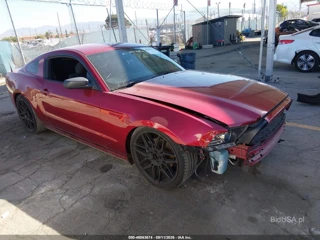 FORD FORD MUSTANG V6