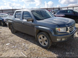 HONDA HONDA RIDGELINE RTL
