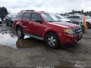 FORD FORD ESCAPE XLT