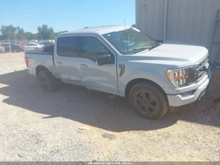 FORD FORD F-150 XLT