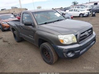 TOYOTA TOYOTA TACOMA