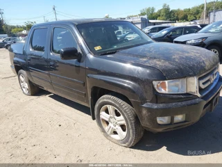 HONDA HONDA RIDGELINE RTL