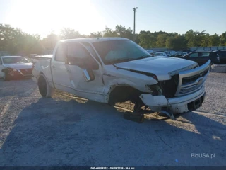 FORD FORD F-150 PLATINUM