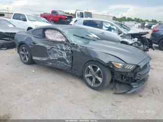 FORD FORD MUSTANG V6