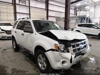FORD FORD ESCAPE HYBRID