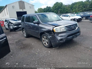 HONDA HONDA PILOT EX-L