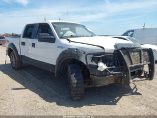 FORD FORD F-150 XL/XLT