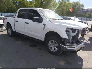 FORD FORD F-150 XLT