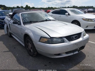 FORD FORD MUSTANG