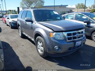 FORD FORD ESCAPE XLT
