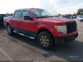 FORD FORD F-150 FX4/HARLEY-DAVIDSON/KING RANCH/LARIAT/PLATINUM/XL/XLT