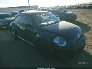 VOLKSWAGEN VOLKSWAGEN BEETLE 2.5L