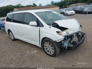 TOYOTA TOYOTA SIENNA LE 7 PASSENGER