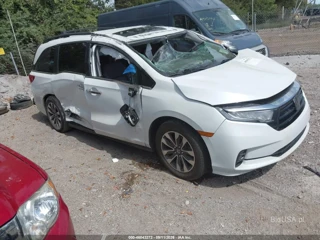 HONDA HONDA ODYSSEY EX-L