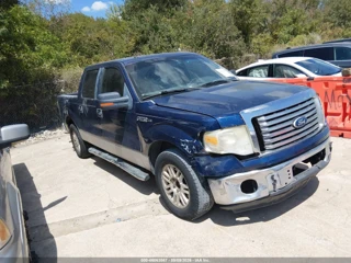 FORD FORD F-150 XLT