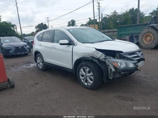 HONDA HONDA CR-V EX