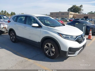 HONDA HONDA CR-V 2WD SPECIAL EDITION