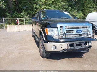 FORD FORD F-150 FX4/KING RANCH/LARIAT/PLATINUM/XL/XLT