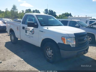 FORD FORD F-150 XL
