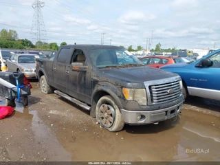 FORD FORD F-150 XLT