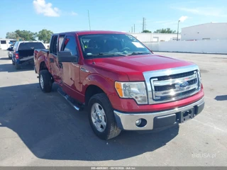 FORD FORD F-150 XLT